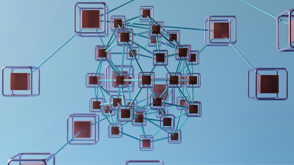 A software project in development